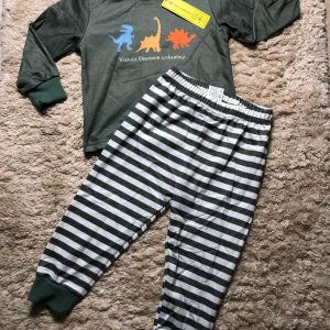 Dinosaur Kids shirts and shorts